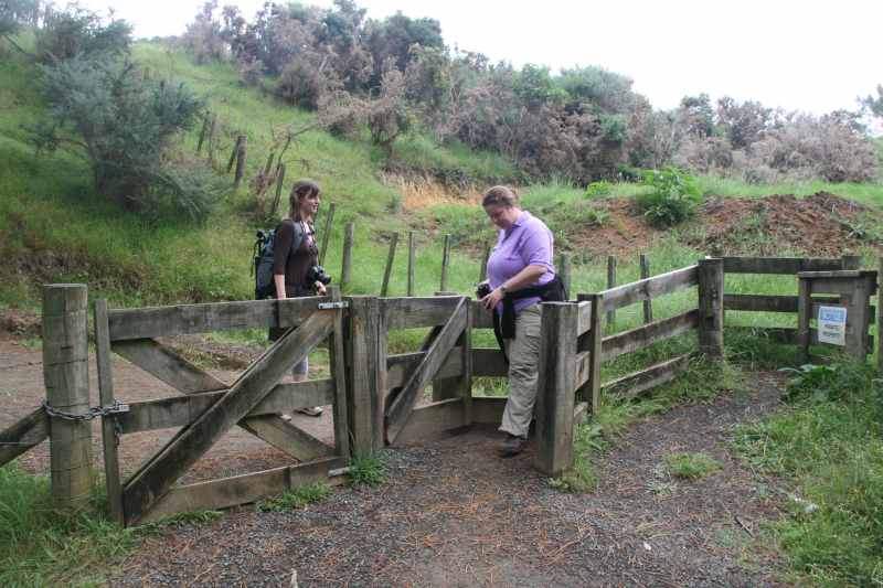 Nieuw-Zeeland 2011 - 0441
